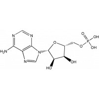 5'-腺苷酸（AMP-H）CAS NO.61-19-8