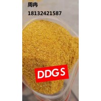 玉米酒糟DDGS